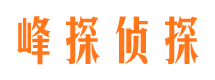 马龙峰探私家侦探公司